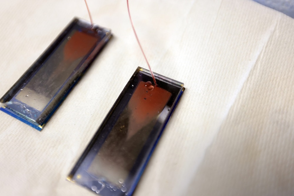 Imagen: A medida que la sangre fluye a través del Go chip, las células cancerosas se adhieren a los anticuerpos integrados en el chip (Fotografía cortesía de la Universidad de Michigan)